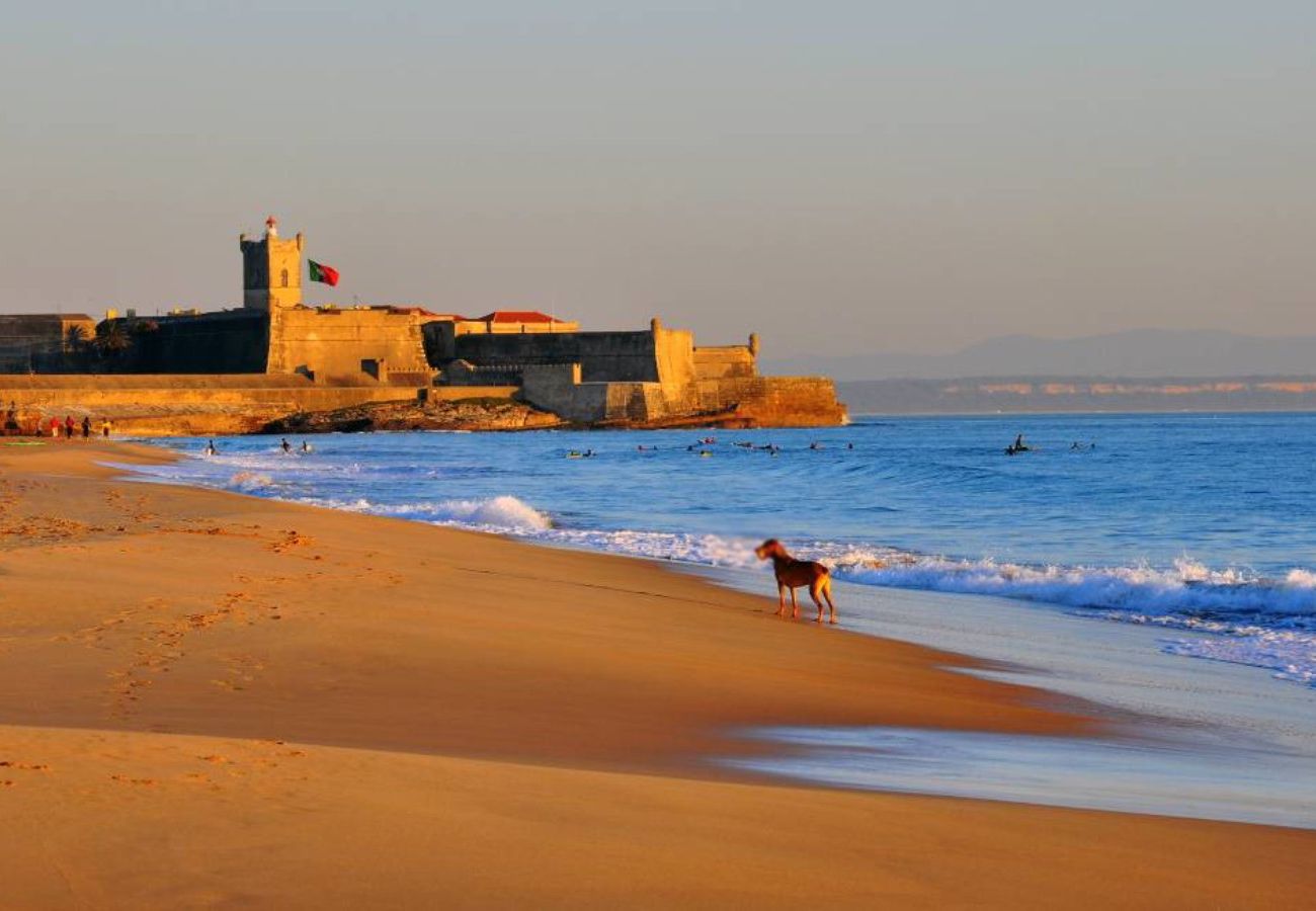 Apartamento em Carcavelos - Carcavelos, Acolhedor apartamento T3 em Cascais 