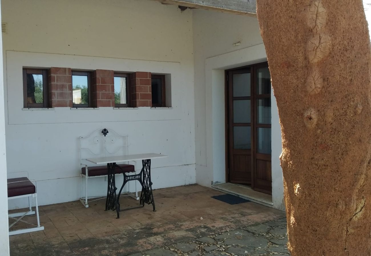 Estúdio em Boavista dos Pinheiros - Alentejo, Suite c/ Kitchenette em Monte típico, Odemira