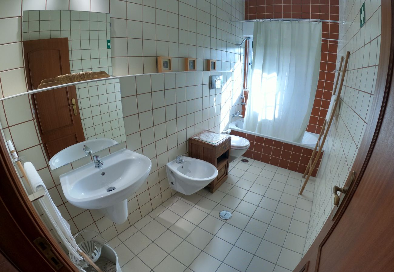 Apartamento em São Brás de Alportel - Algarve, apartamento T1 renovado c/ varanda, S. Brás de Alportel
