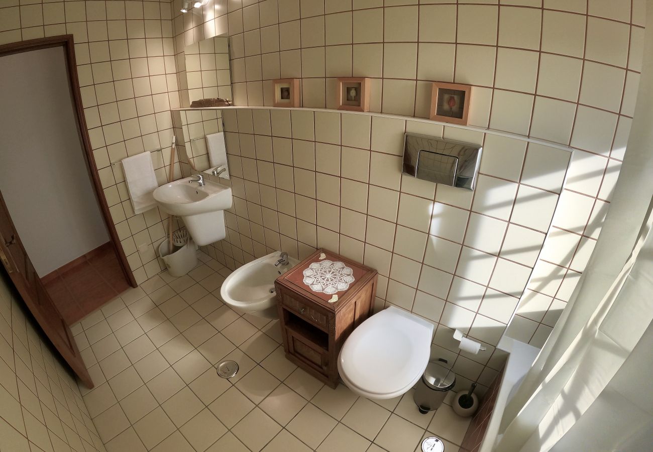 Apartamento em São Brás de Alportel - Algarve, apartamento T1 renovado c/ varanda, S. Brás de Alportel