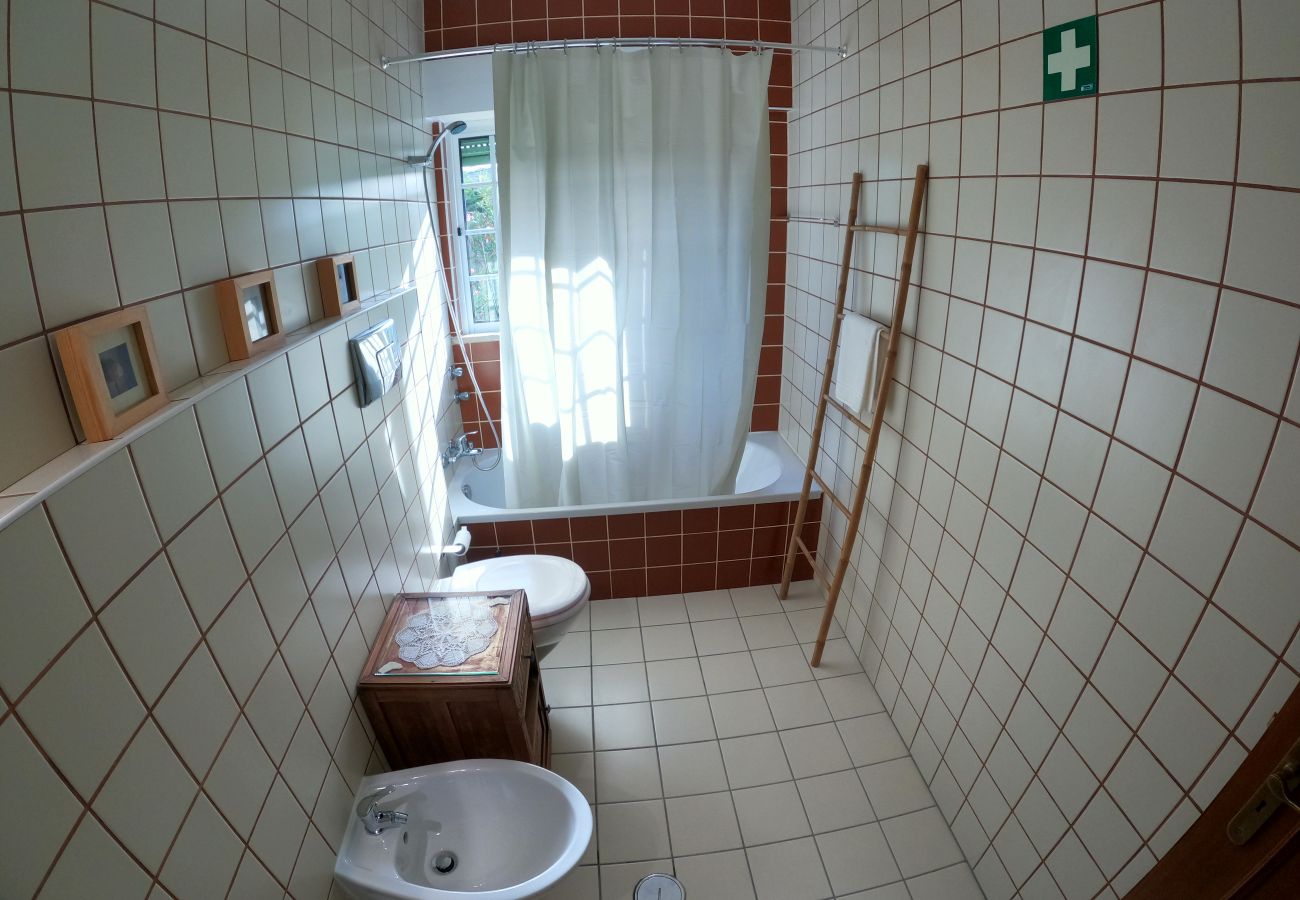 Apartamento em São Brás de Alportel - Algarve, apartamento T1 renovado c/ varanda, S. Brás de Alportel