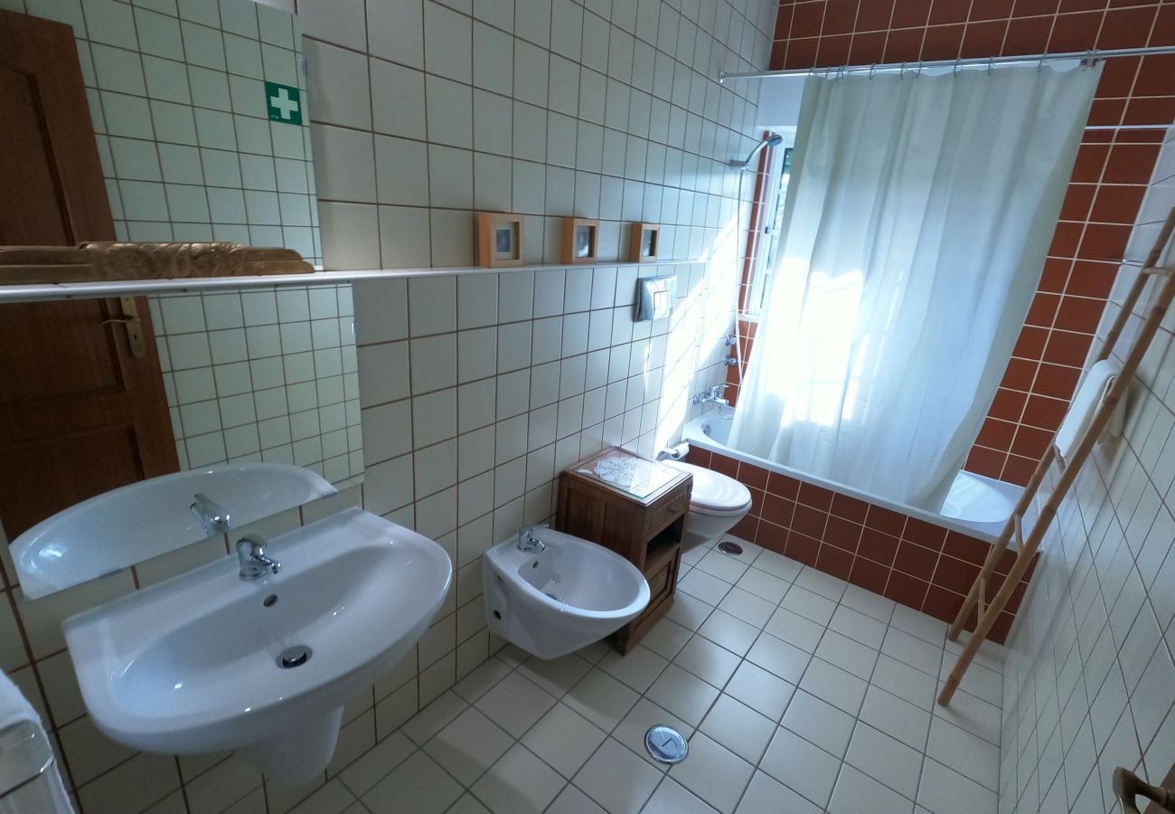 Apartamento em São Brás de Alportel - Algarve, apartamento T1 renovado c/ varanda, S. Brás de Alportel