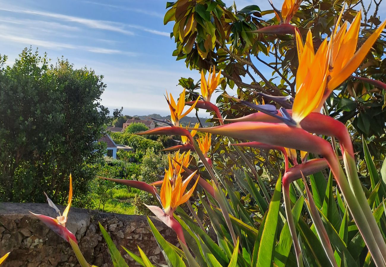 Casa em Colares - Paisagem tranquila com vistas deslumbrantes sobre a Costa Atlântica, Colares, Sintra