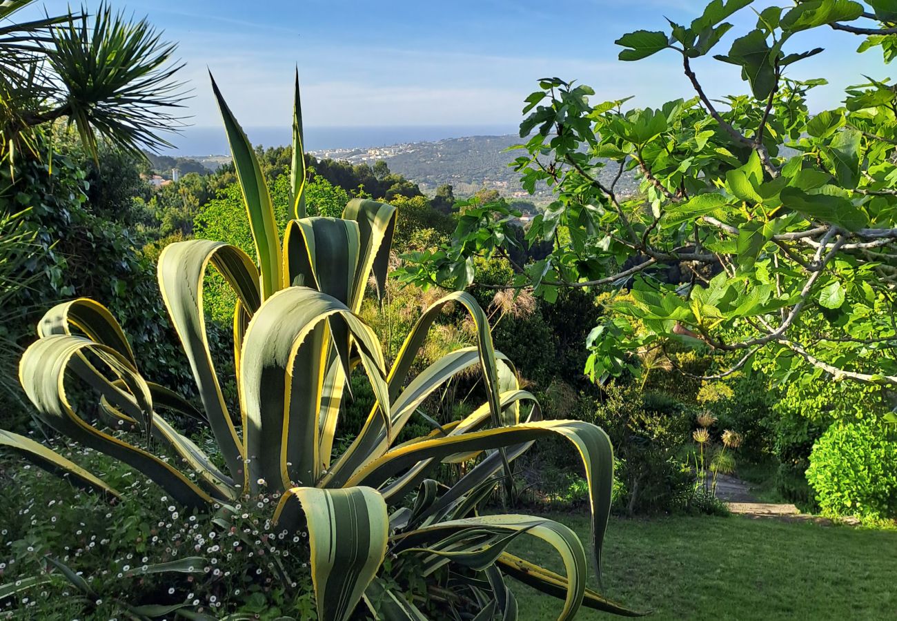 Casa em Colares - Paisagem tranquila com vistas deslumbrantes sobre a Costa Atlântica, Colares, Sintra