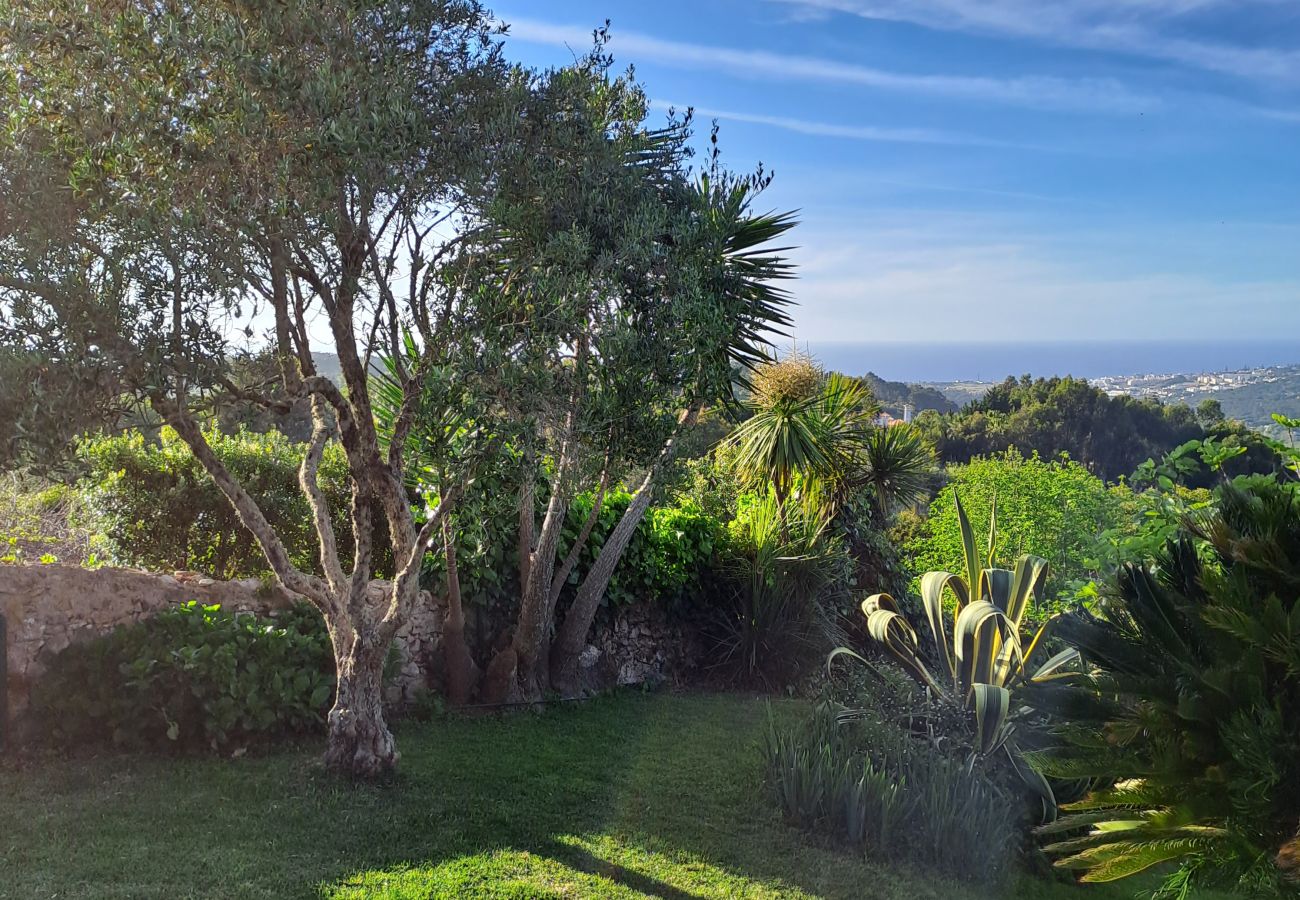 Casa em Colares - Paisagem tranquila com vistas deslumbrantes sobre a Costa Atlântica, Colares, Sintra