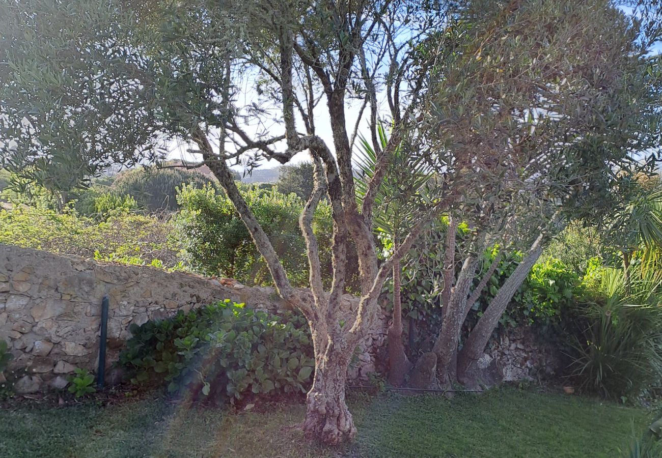Casa em Colares - Paisagem tranquila com vistas deslumbrantes sobre a Costa Atlântica, Colares, Sintra
