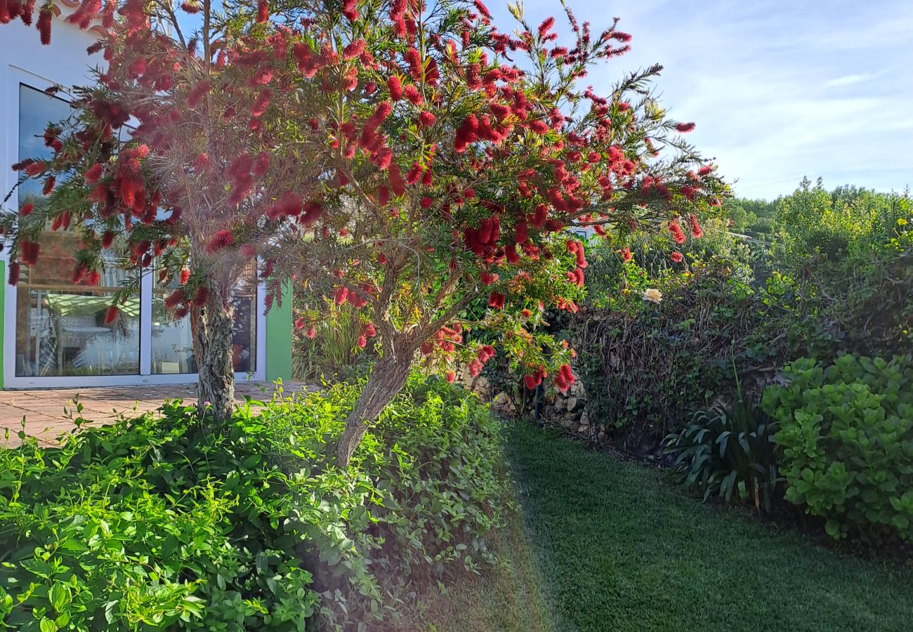 Casa em Colares - Paisagem tranquila com vistas deslumbrantes sobre a Costa Atlântica, Colares, Sintra