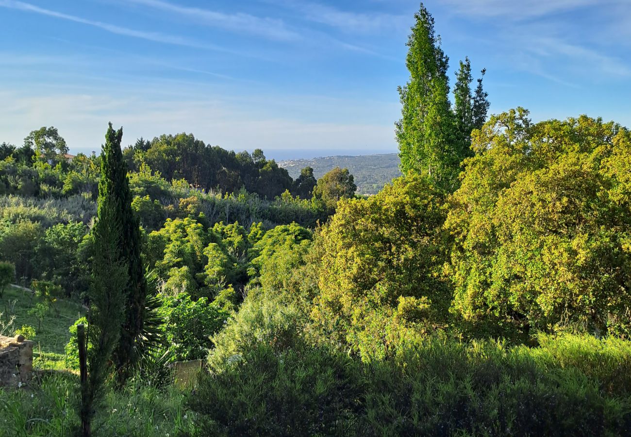 Casa em Colares - Paisagem tranquila com vistas deslumbrantes sobre a Costa Atlântica, Colares, Sintra