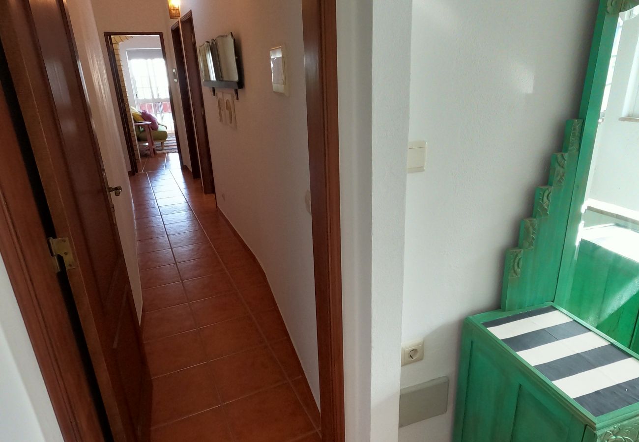 Apartment in São Brás de Alportel - Algarve, apartamento T1 renovado c/ varanda, S. Brás de Alportel