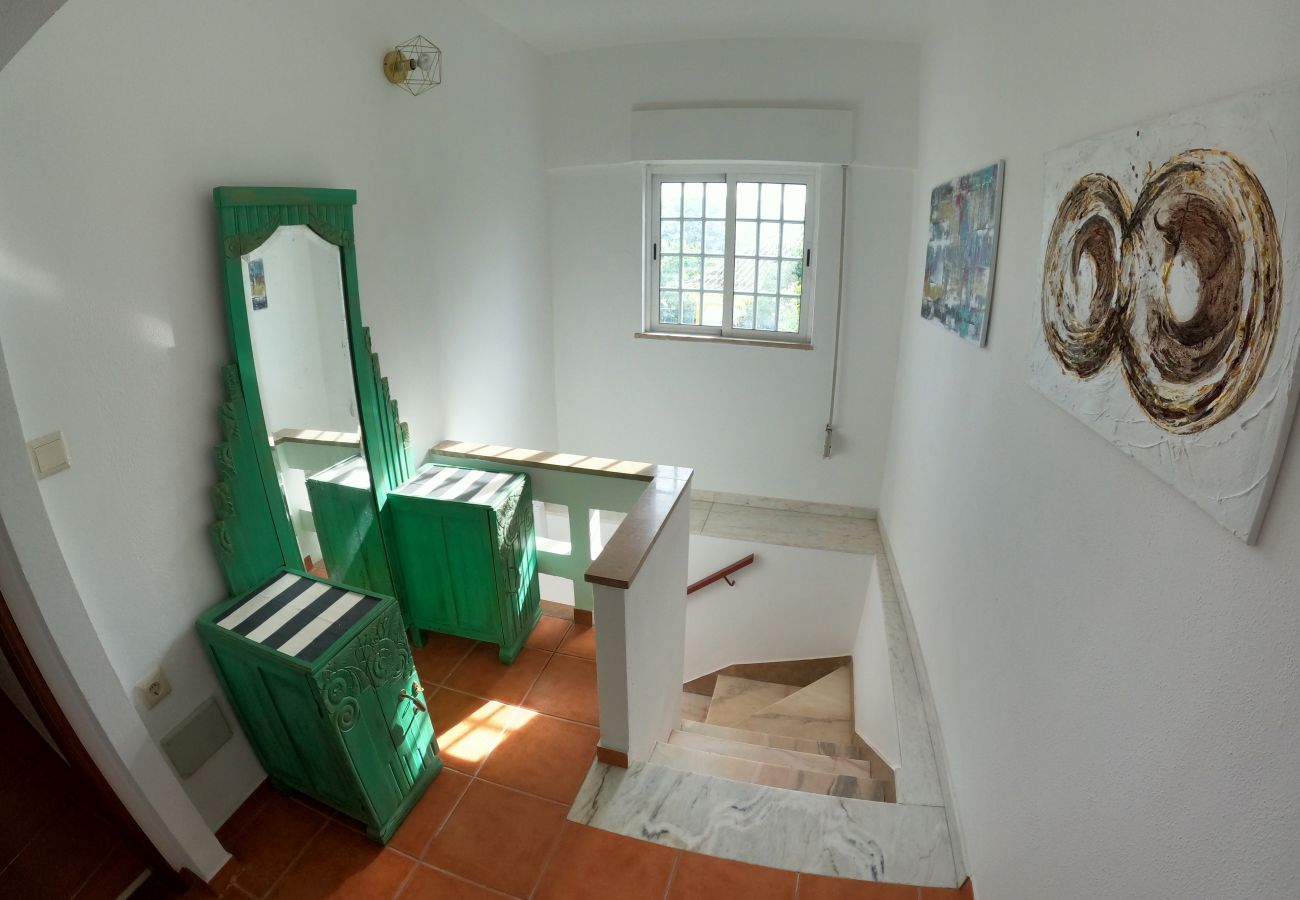 Apartment in São Brás de Alportel - Algarve, apartamento T1 renovado c/ varanda, S. Brás de Alportel